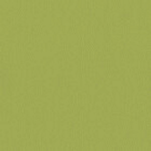 Inca 25 Swatch image for Inca 25